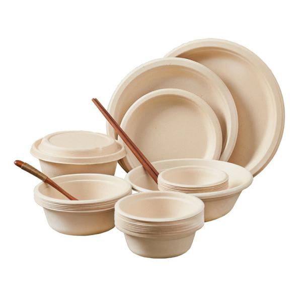Quality 100% Biodegradable Disposable Soup Bowls With Lids 12oz 18oz 24oz wholesale