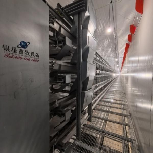 Quality Hot-Dip Galvanized High-Efficiency 4-8 Tier Automatic Layer Cage - Hot Galvanized & Auto Egg Conveyor wholesale