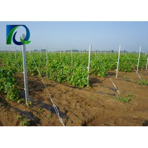 70x40MM HDG Vineyard Trellis End Posts Orchard Poles With Matched Accessories