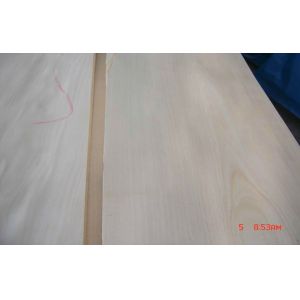 China 0.5 mm Crown Cut White Birch Veneer With Light Yellow Grain on sale