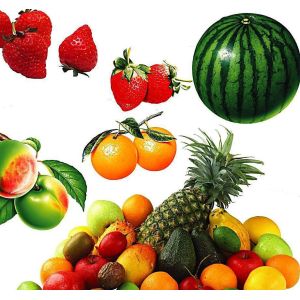 Customized Fruit Vegetable Washing Machine Ginger Bubble Washing Machine