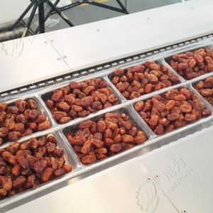 Automatic Date Production Line Date Stretch Film Vacuum Packaging Machine