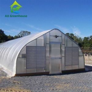 Single Span Double Layer 8mm PC Sheet Greenhouse Venlo 0.5KN/M2 Wind Load
