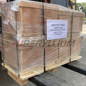 CuBe2 C17200 Strips Hard ( BrB2 Solid ) With Negtive Tolerance For Russian