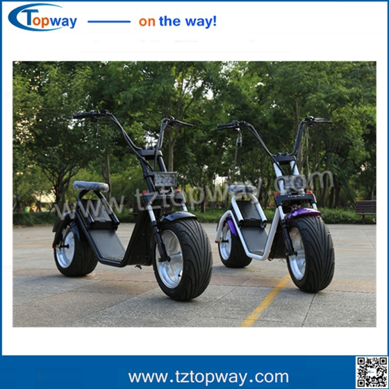 EEC Approval 2017 new citycoco 1000w fat tire halley adult electric scooter