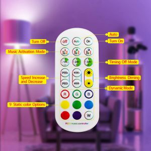 Timing Function LED Holiday Lights Adjustable Stand LED RGB Floor Lamp For