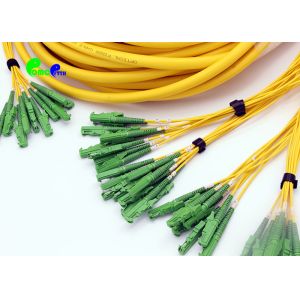 E2000 - E2000 48F Fiber Optic Patch Cables OS2 Multifiber Single Mode Breakout