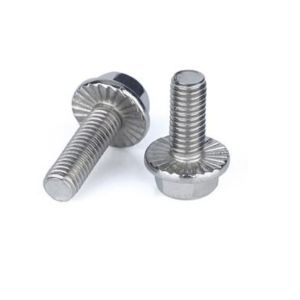 M6 M18 Stainless Steel Plain Metal Hexagon Flange Bolt SS304 SS316 A2 A4 DIN6921