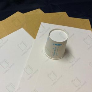 Multi Functional Clay Coated Cupstock With Antimicrobial Properties