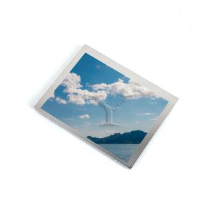 6-Inch 1440*2560 HD TFT LCD Panel G060TAA01.1 ODM Supplied LCD Screen Module LCM