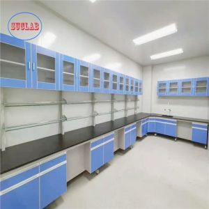 OEM/ODM Acceptable Wood Lab Furnitures for and Customizable Laboratory Needs