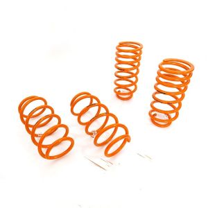 Customizable Honda Civic Lowering Springs 10th (FC1/FC7/FK7)