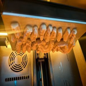 Digital Applications Light-Curing 3D Printed Dental Model Opposite Jaw