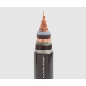 3.6/6kv Medium Voltage Single Core 50mm2 XLPE Insulation Power Cable