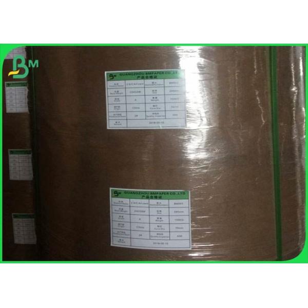 155gsm 250gsm 300gsm 350gsm High bulky GC1 FBB SBS Paperboard with Uncoated or