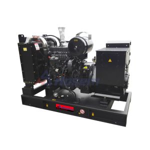 Standby Power 30kW N4105DS Ricardo Engine Generator