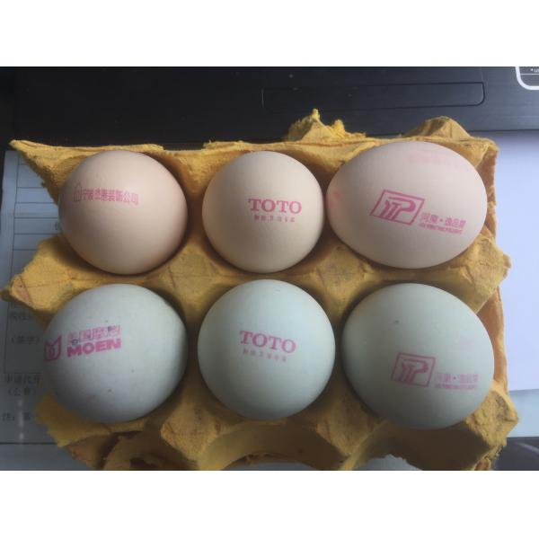 Unlimited Length Egg Stamping Equipment With U Disk Loading Easy To Edit
