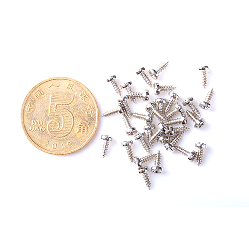 Stainless Sreel 304 Screw Precision Micro Screw Use for Camerca Electronic M0.6-M3
