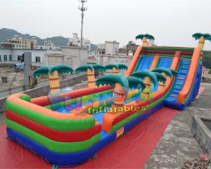 Cheap Outdoor Long Inflatable Water Slide Slip N Slide 11x5.5x5.5 Meter for sale