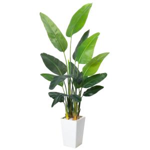 Artificial Bird of Paradise Plant 6.8FT - Luxury Faux Palm Tree in White Planter