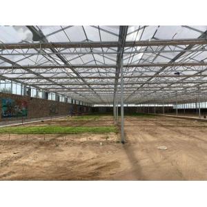 8m 9.6m 12m Span Width Agriculture Greenhouse For Hybrid Tomato Seeds And