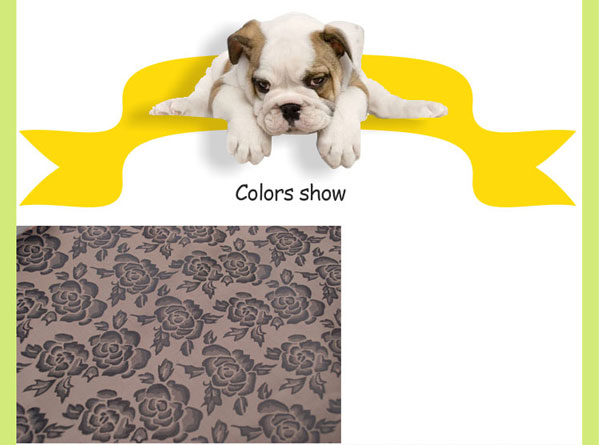 outdoor heating pads for dogs