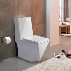 Square One Piece Washdown Rimless Flush Sanitary Ware Toilet