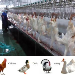 Multifunctional Chicken Turkey Slaughtering Machine Poultry Slaughter Line