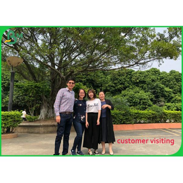 Fully Bio Compostable 70gsm Bleach Paper Roll For Takeaway packaging bags Fully Bio Compostable 70gsm Bleach Paper Roll For Takeaway Packaging Bags