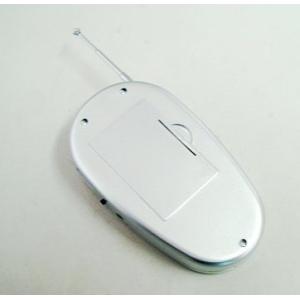 FM Radio Mini Speaker With TF Card and USB2.0 Port And Earphone Output