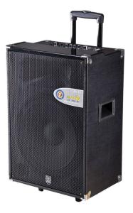 China active trolley speaker/portable speaker with usb/sd function on sale