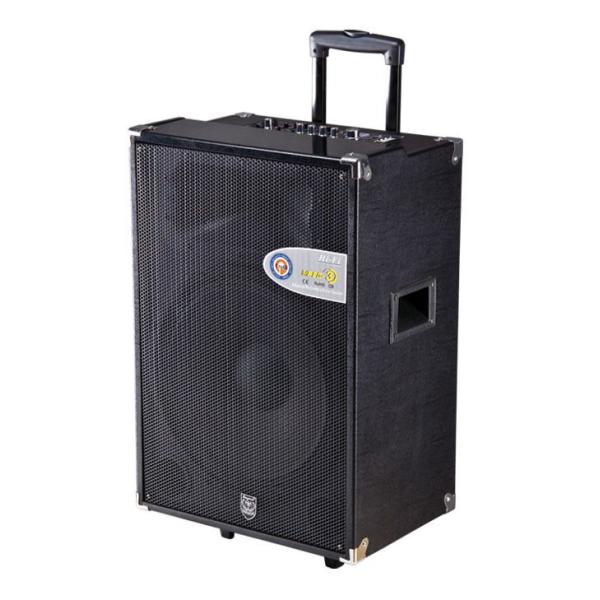 Quality active trolley speaker/portable speaker with usb/sd function wholesale