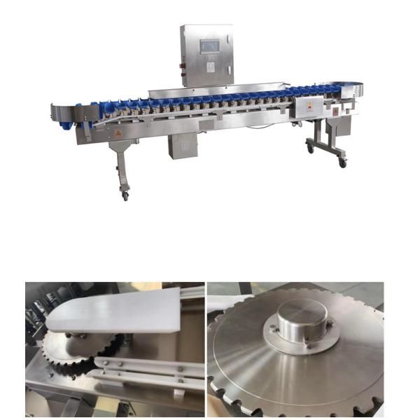 Quality Seafood Fruit Conveyor Automatic Weight Sorting Machine wholesale