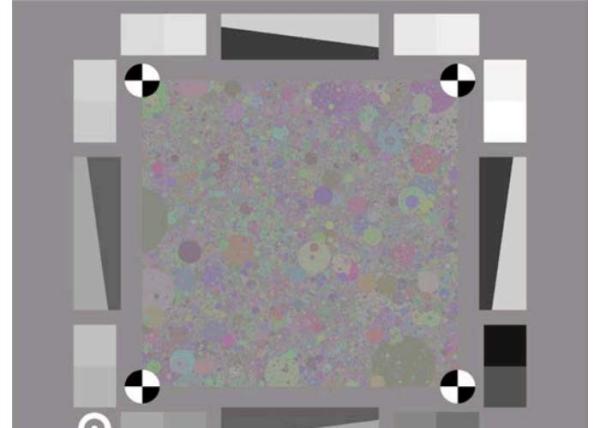Dead Leaves Texture Test Target YE0276 for Texture Loss Analysis due to Noise