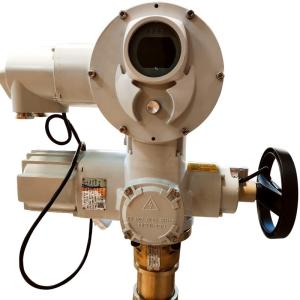 Cheap Custom Explosion Proof Electric Actuator F Insulation Level 440v for sale