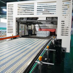 Dual Channel Automatic Shrink Packer with 30-260 Cartons/Minute Capacity and