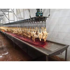 300-1000bph Poultry Processing Machinery for Chicken Abattoir Processing