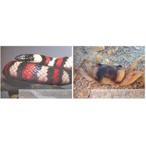 Cheap LC4060/6080/6090 Flat Bed Microcomputer screen printing press plans plane paper，plastic, glass ceramics for sale