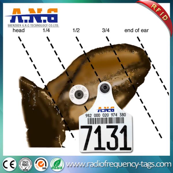 Frequency Identification animal rfid tags EM4305 EID Ear Tags for Cattle