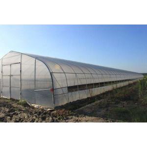 Traditional Polycarbonate Tunnel Greenhouse Snow Load 0.45KN/M2 Rainfall 90mm/H