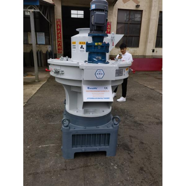 Pellets Plant 12mm Vertical Ring Die Pellet Machine Hardwood Pellet Mill Rice Husk