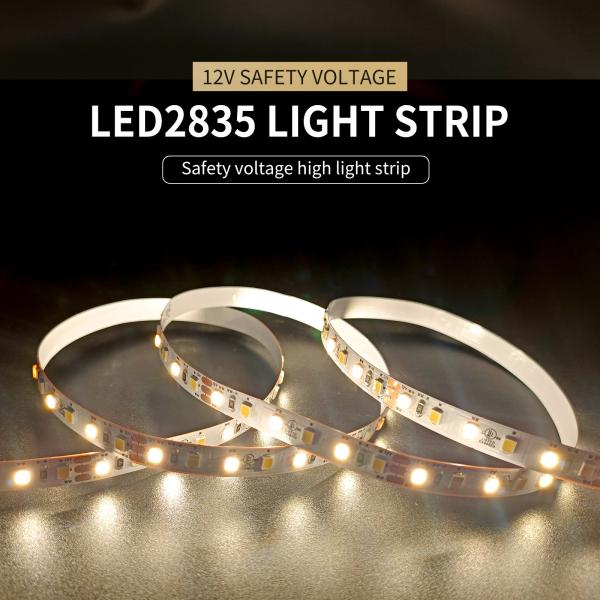 2835 Two Color Temperature Light With Bathroom Mirror Light Corridor Layered