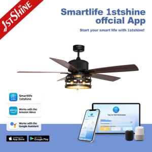 Traditional Design Style Ceiling Fan with Light and Remote Control/Wall Control