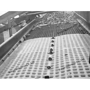 Polyurethane Screening Media