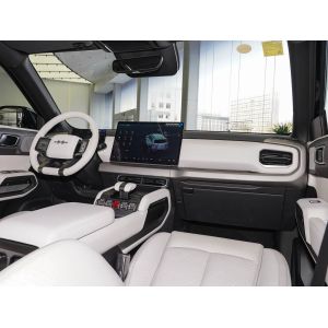 Popular Used Cars 2025 Fang Cheng Bao Compact SUV with 501km Range and 310kW