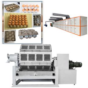 Various Model Paper Egg Tray Machine Paper Pulp Molding Machine Customized Molds