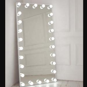 Full Length Hollywood 50x Magnifying Mirror Customzied