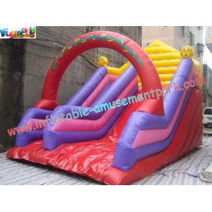 Cheap Outdoor Inflatables blow up Slides with thick D anchor point rentals for commercial, home for sale