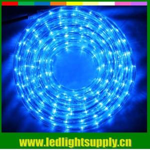Led rope light 12/24v shenzhen supply 1/2'' 2 wire duralight strip
