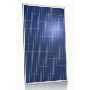 Cheap White Frame Polycrystalline PV Module 240 Watt With Self - Cleaning Function for sale